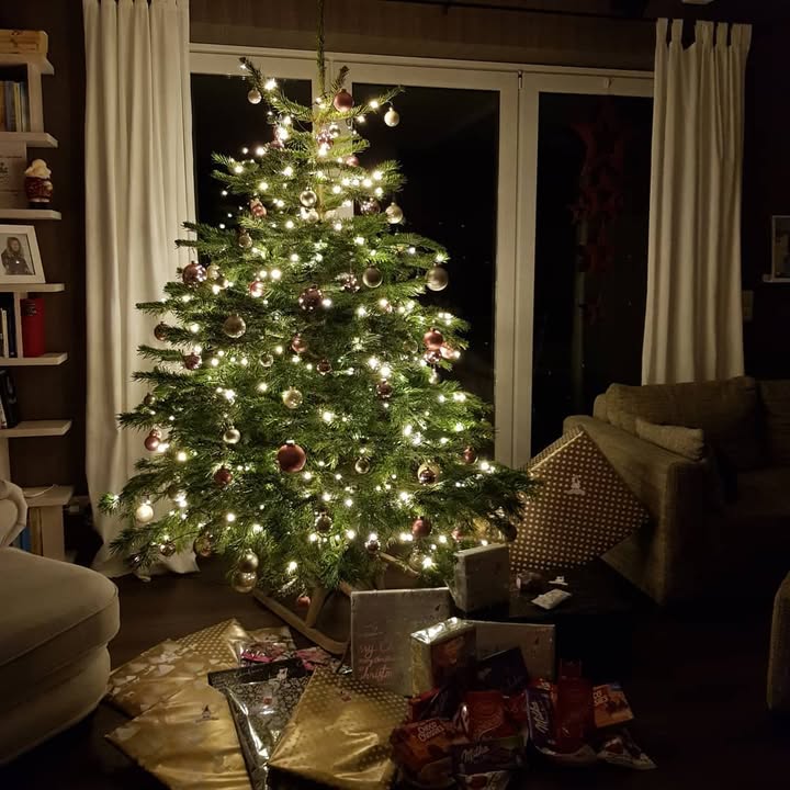Bild zum Beitrag „Weihnachtsgrüße 2019“