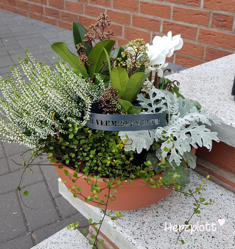 Bild zum Beitrag „Vermissen“