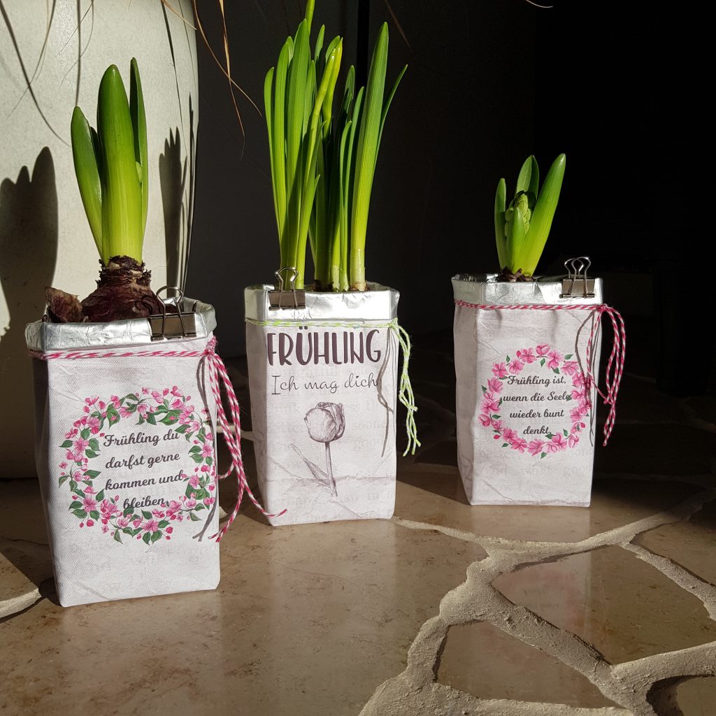 Bild zum Beitrag „Frühling“
