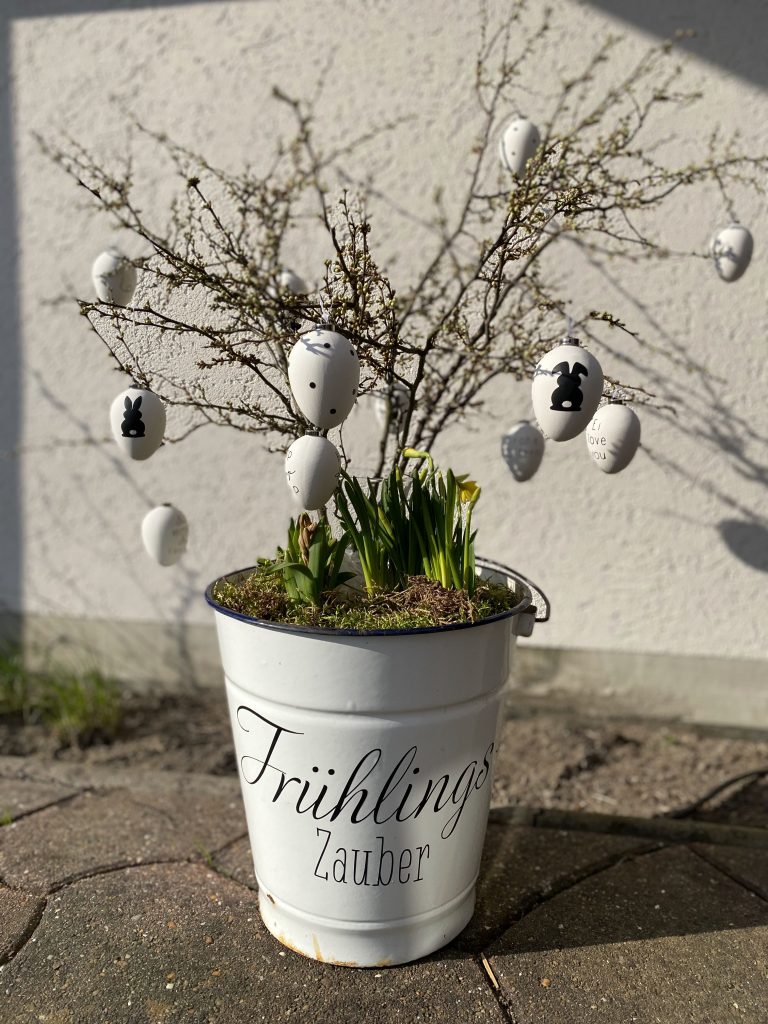 Bild zum Beitrag „Frühlingsanfang“