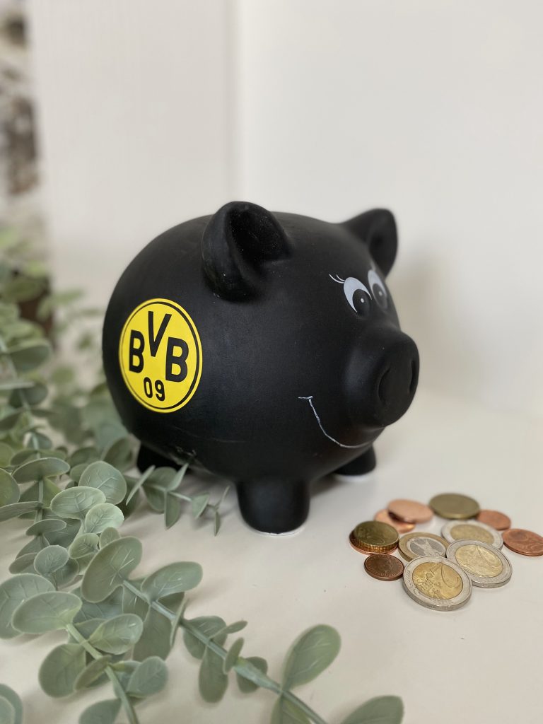 Bild zum Beitrag „Sparschwein“