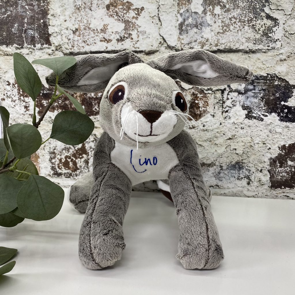 Bild zum Beitrag „Hase für Lino“