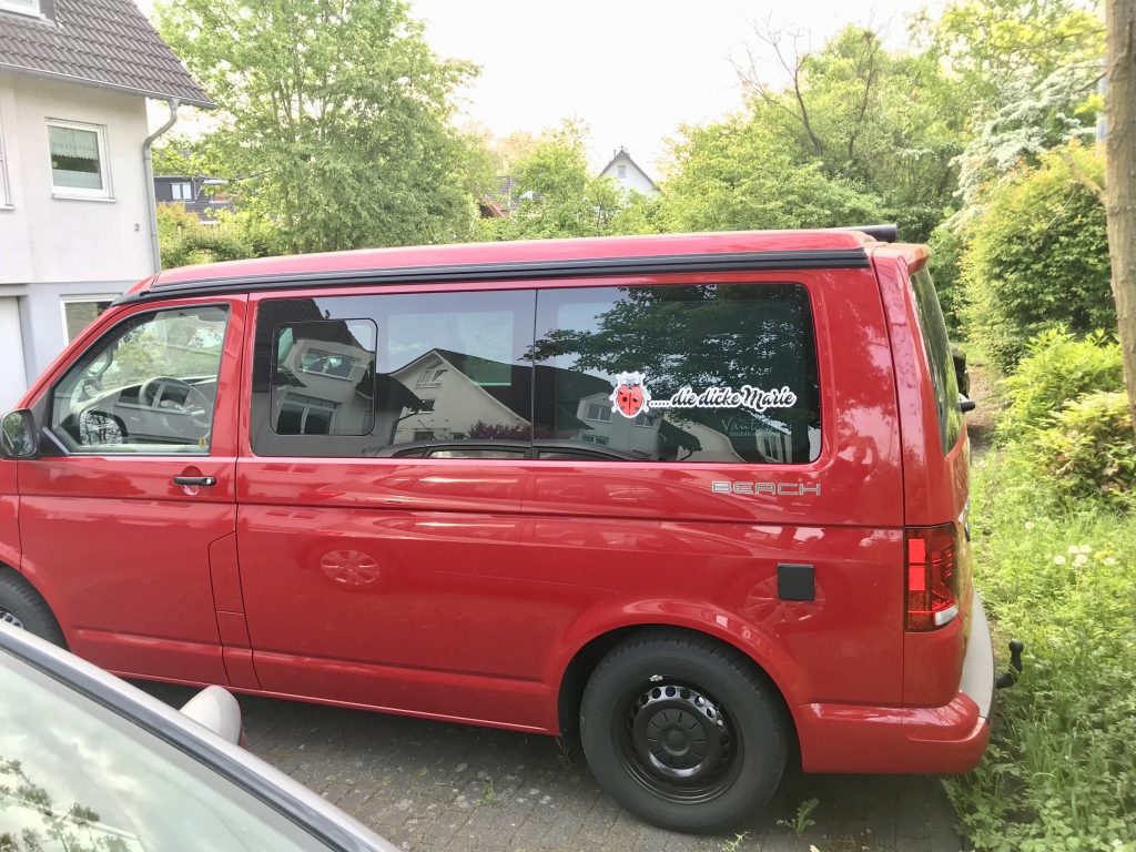 Bild zum Beitrag „Marienkäfer“