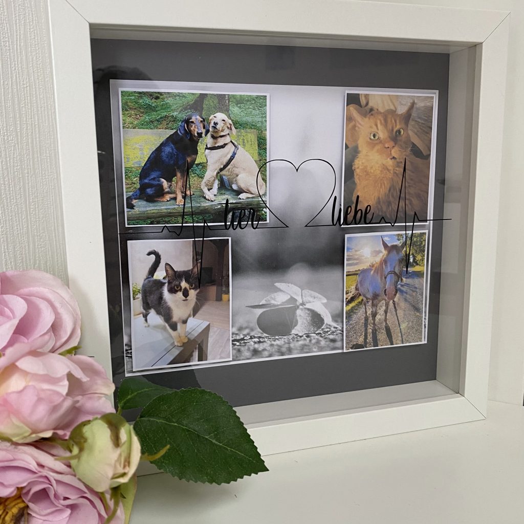 Bild zum Beitrag „Tierliebe“
