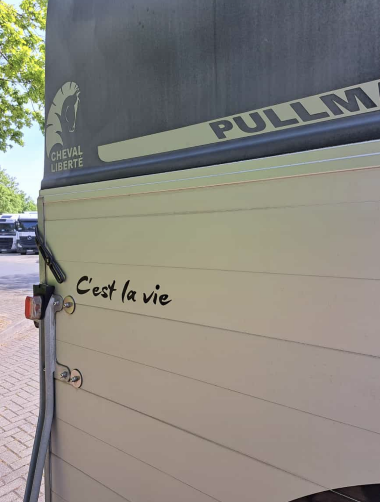 Bild zur Arbeit „C’est la vie“