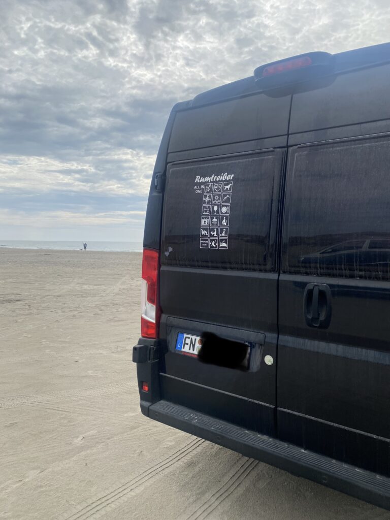 Bild zur Arbeit „Perro in Dänemark“