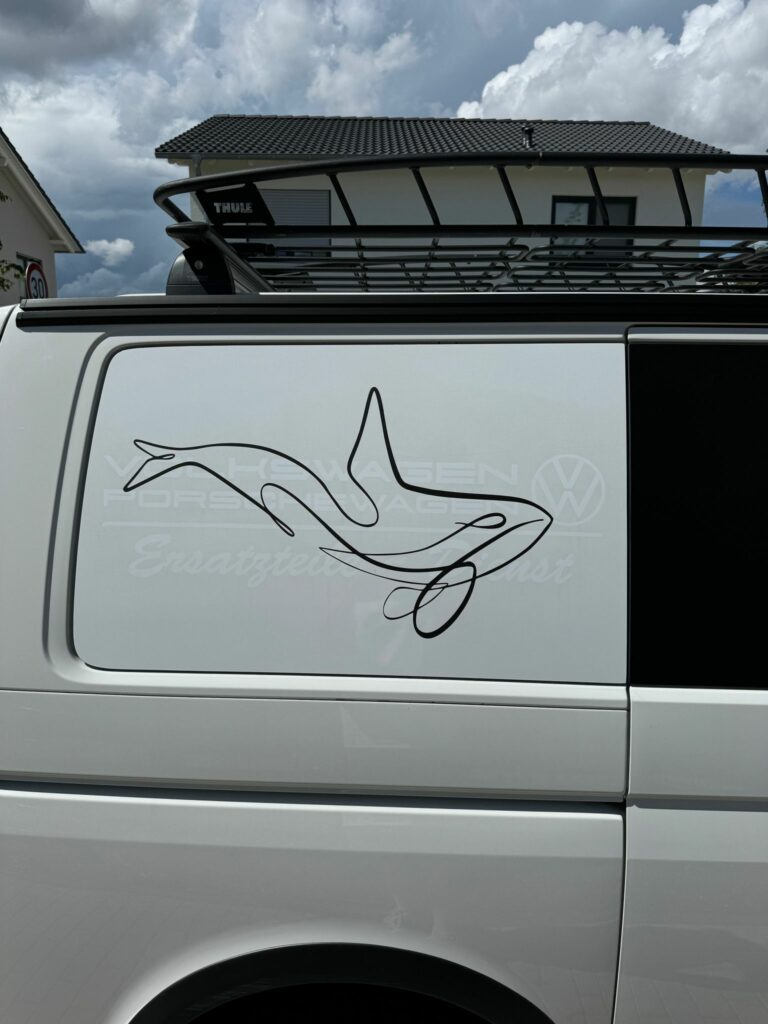 Bild zur Arbeit „Orca“