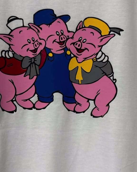 Bild zur Arbeit „Sei so klug, wie die drei kleinen Schweine!“