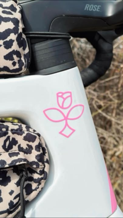 Bild zum Beitrag „Aufkleber für Bastis Gravelbike“